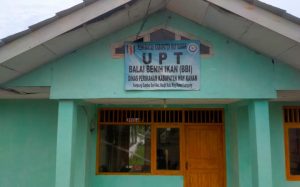 Diduga IKW UPT Balai Benih Ikan (BBI) Dinas Perikanan Kabupaten Way kanan, Tidak Masuk Kerja Sudah Tiga Tahun