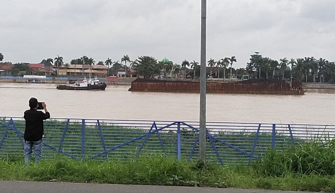 Aktivitas Angkutan Batubara Jalur Sungai Masih Eksis. Himbauan Pemerintah Provinsi Jambi Diduga Dikangkangi Pengusaha? 