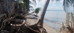 Kampung Terkikis Laut, Warga Cappa Gusung Desak Tindakan Cepat Pemerintah