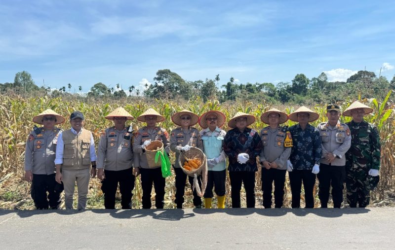 Kapolres OKU Selatan Ikuti Kegiatan Panen Raya Jagung Serentak Kuartal II, Dalam Mendukung Ketahanan Pangan Nasional