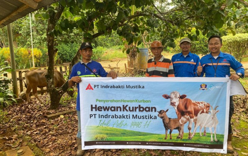 Memperingati Hari idul Adha 1446 H : PT Indrabakti mustika Melakukan Penyerahan Hewan Qurban di Desa Lingkar Tambang